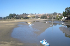 DSC01631