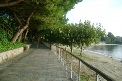 DSC06655