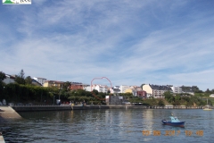 DSCN7800
