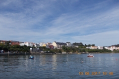 DSCN7803