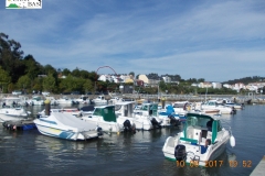DSCN7816